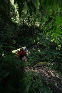 BIB: 5003
                            <button type="button" onclick="openModal(16028361)" class="btn btn-primary btn-sm float-right btn-popup" data-toggle="modal" data-target=".modal-high-quality">
                        <i class="fas fa-shopping-cart"></i> Add to Cart
                    </button>
                                            <button type="button" onclick="isThisMe(16028361, true)" class="btn btn-success btn-sm float-right btn-popup btn-isme hidden" data-toggle="tooltip" data-placement="bottom" title="นี่คือรูปของคุณใช่ไหม คลิกที่นี่เพื่อเอาเข้าอัลบั้ม">
                        <i class="fas fa-plus"></i> Add to album
                    </button>
                    <button type="button" onclick="isThisMe(16028361, false)" class="btn btn-warning btn-sm float-right btn-popup btn-isnotme hidden">
                        <i class="fas fa-ban"></i> Remove from album
                    </button>